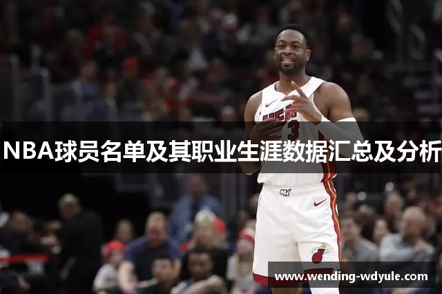 NBA球员名单及其职业生涯数据汇总及分析