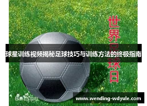 球星训练视频揭秘足球技巧与训练方法的终极指南