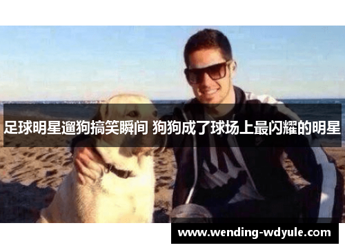 足球明星遛狗搞笑瞬间 狗狗成了球场上最闪耀的明星