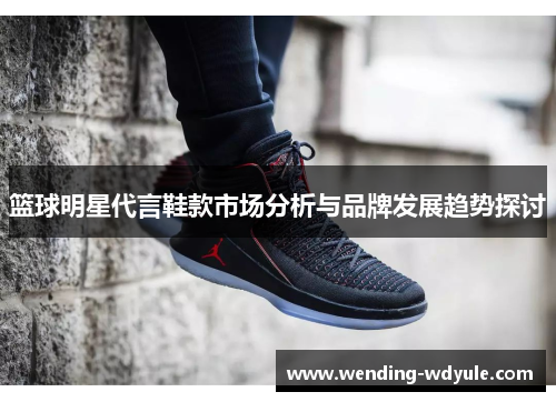 篮球明星代言鞋款市场分析与品牌发展趋势探讨